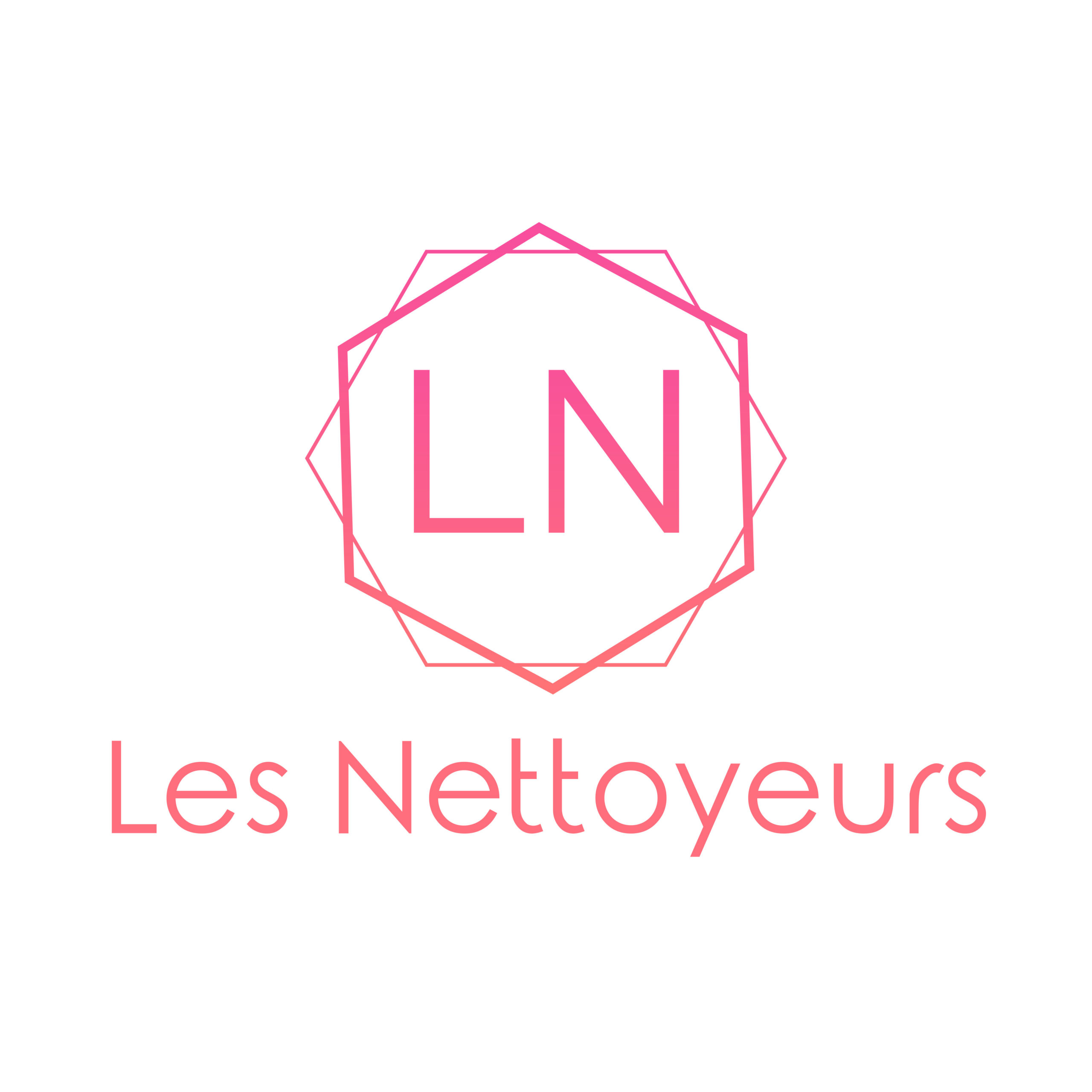 Les Nettoyeurs